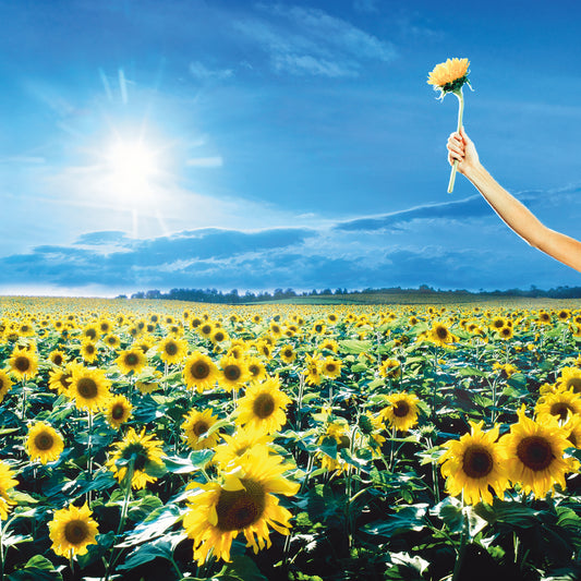 Stone Temple Pilots - Thank You (Rocktober) (Opaque Sky Blue Vinyl) (2 Lp) (LP) M