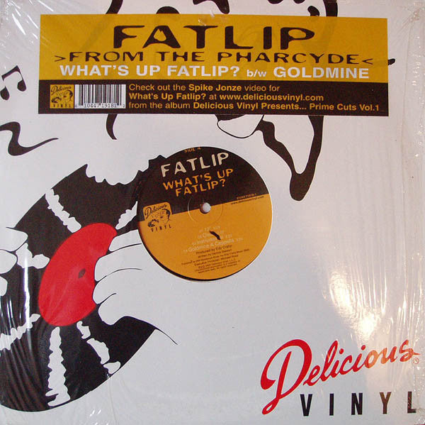 Fatlip* : What's Up Fatlip? / Goldmine (12")