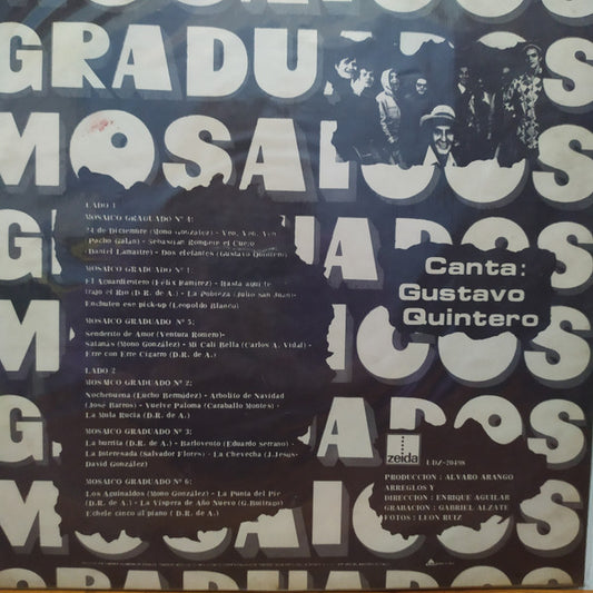 Los Graduados : Mosaicos Graduados (LP, Comp)