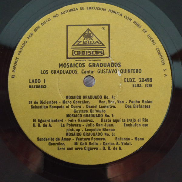 Los Graduados : Mosaicos Graduados (LP, Comp)