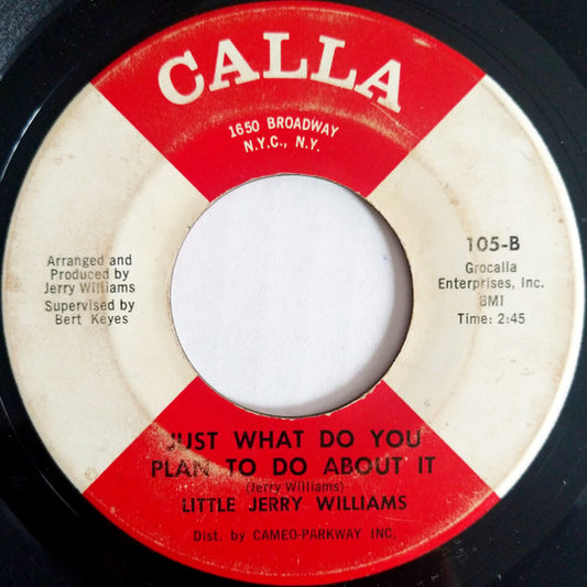 Jerry Williams Jr. : Baby, You're My Everything (7", Single)