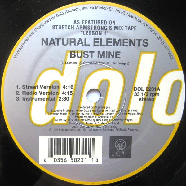 Natural Elements : Bust Mine / Paper Chase (12")
