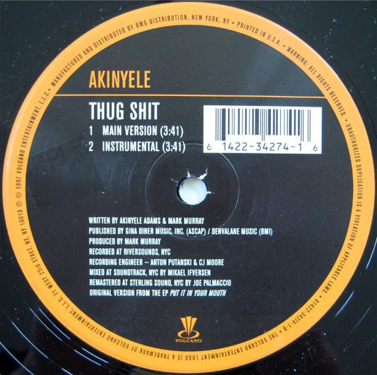 Akinyele : Thug Ness (12", Single, RM)