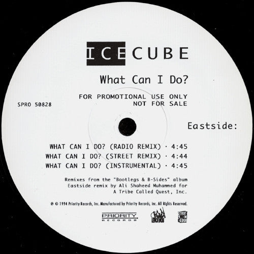 Ice Cube : What Can I Do? (12", Promo)