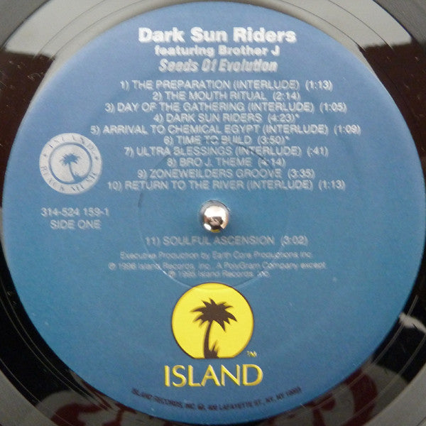 Dark Sun Riders : Seeds Of Evolution (LP, Album)
