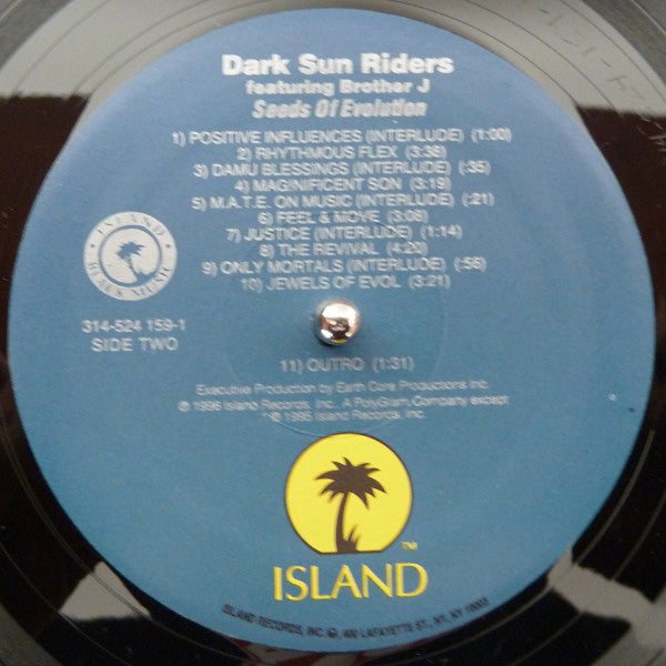 Dark Sun Riders : Seeds Of Evolution (LP, Album)