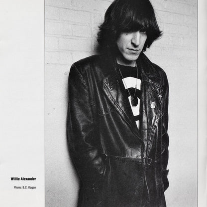 Various : DIY: Mass. Ave. - The Boston Scene (1975-83) (CD, Comp)
