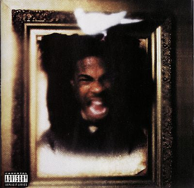 Busta Rhymes : The Coming (CD, Album)