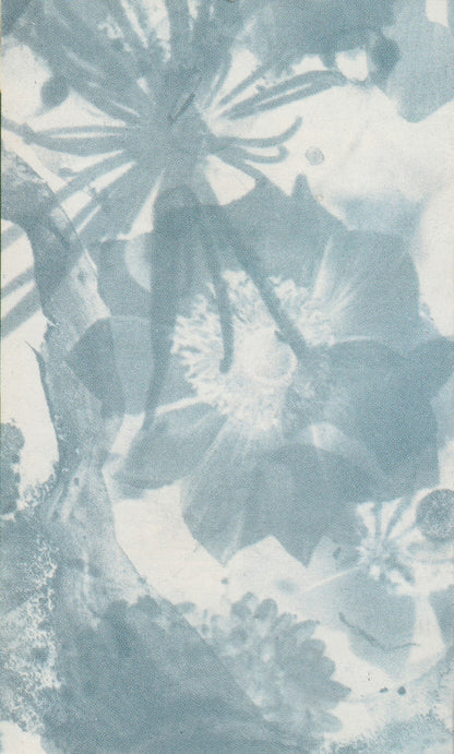 The Cure : Disintegration (Cass, Album, AR,)