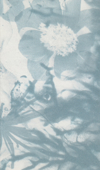 The Cure : Disintegration (Cass, Album, AR,)