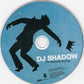 DJ Shadow : The Mountain Will Fall (CD, Album)