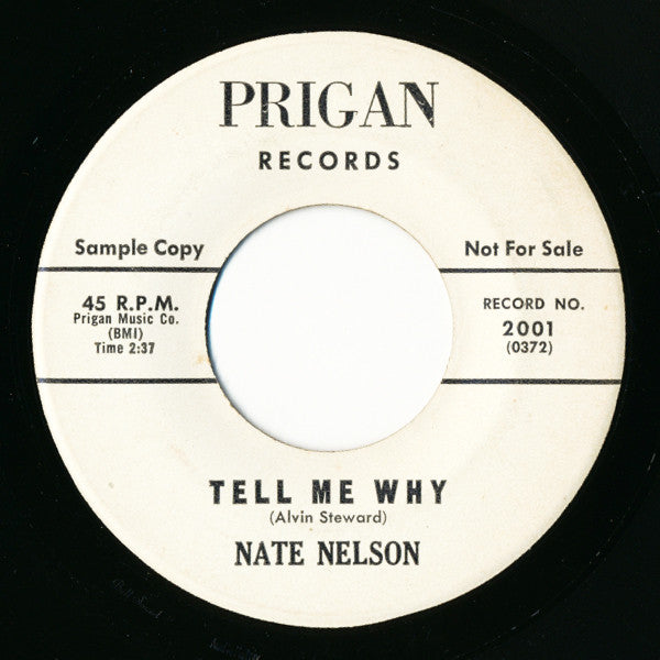 Nate Nelson (2) : Once Again / Tell Me Why (7", Promo)