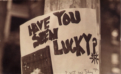 The Replacements : All Shook Down (Cass, Album, SR,)