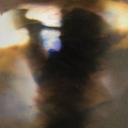 Animal Collective - Fall Be Kind (LP) M