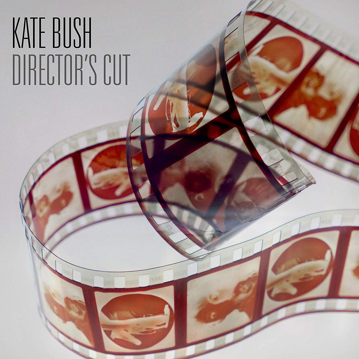 Kate Bush - Director's Cut (2018 Remaster) (LP) M