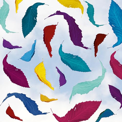 New Order - True Faith Remix (2023 Remaster) (LP) M