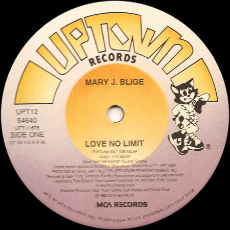 Mary J. Blige : Love No Limit (12", Single)
