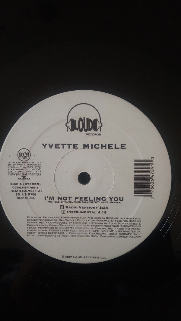 Yvette Michele : I'm Not Feeling You (12", Single)
