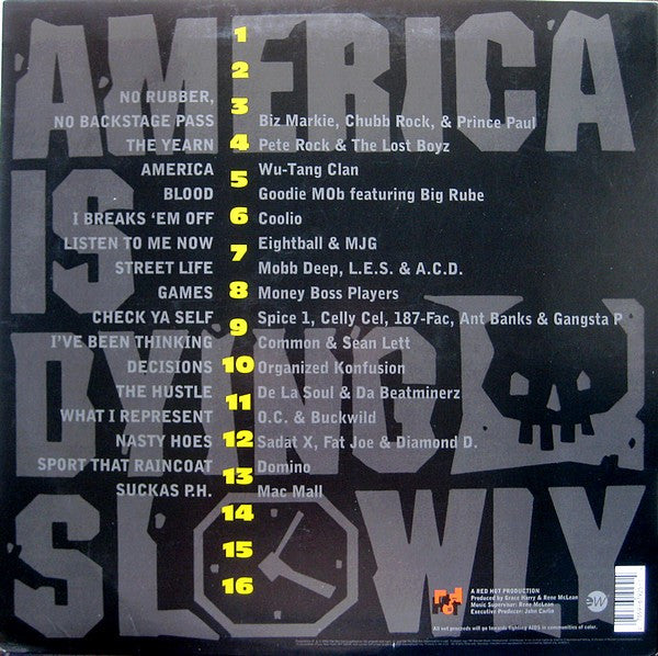 Various : America Is Dying Slowly (2xLP, Comp)