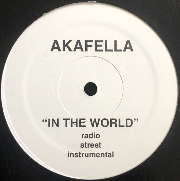Akinyele : In Your Mouth / In The World (12", Promo)