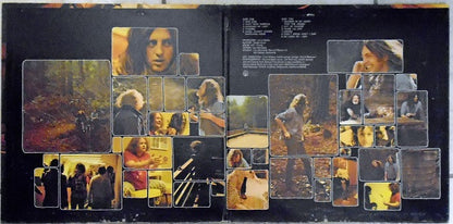 Lee Michaels : Barrel (LP, Album, Pit)