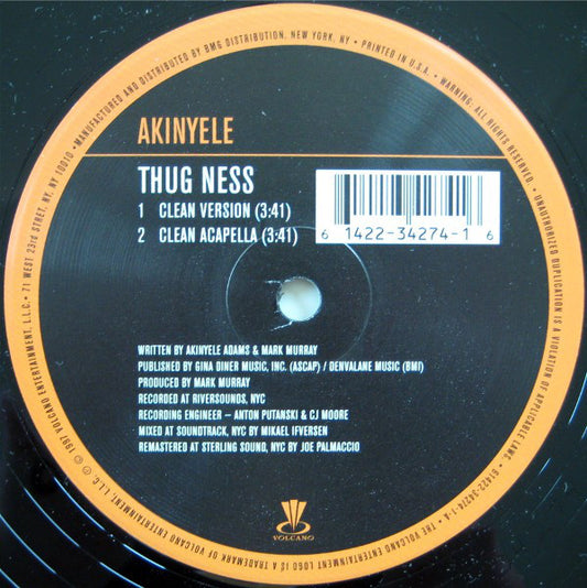 Akinyele : Thug Ness (12", Single, RM)