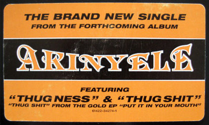 Akinyele : Thug Ness (12", Single, RM)