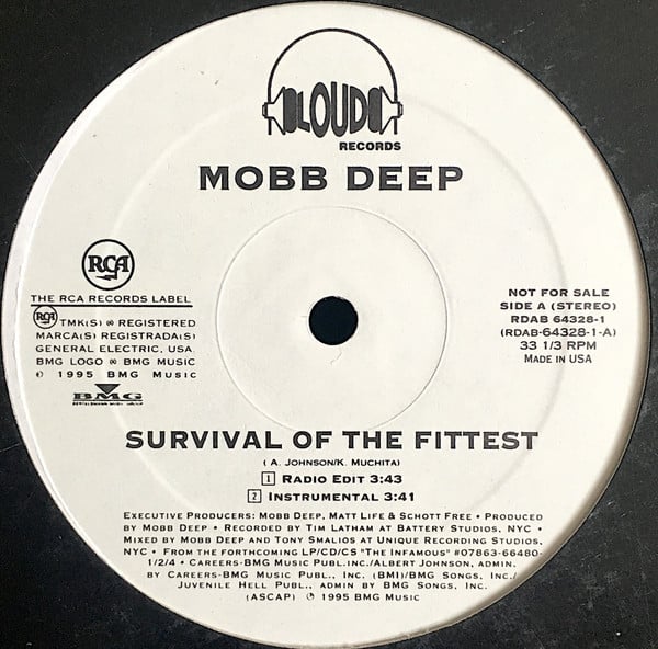 Mobb Deep : Survival Of The Fittest (12", Promo)
