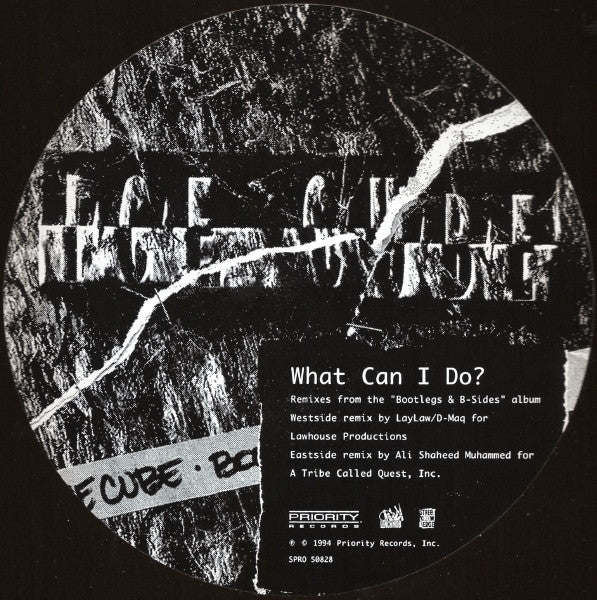 Ice Cube : What Can I Do? (12", Promo)
