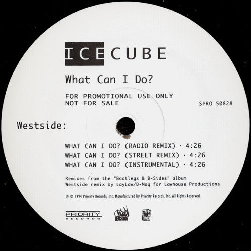 Ice Cube : What Can I Do? (12", Promo)