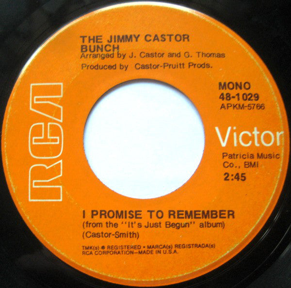The Jimmy Castor Bunch : Troglodyte (Cave Man) / I Promise To Remember (7", Single, Mono, Roc)