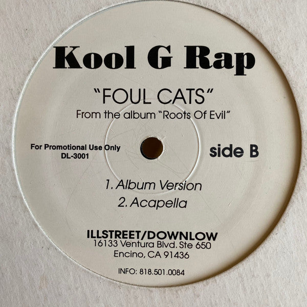 Kool G Rap : Foul Cats (12", Promo)