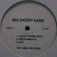 Big Daddy Kane : Hold It Down / Unda Presha (12")